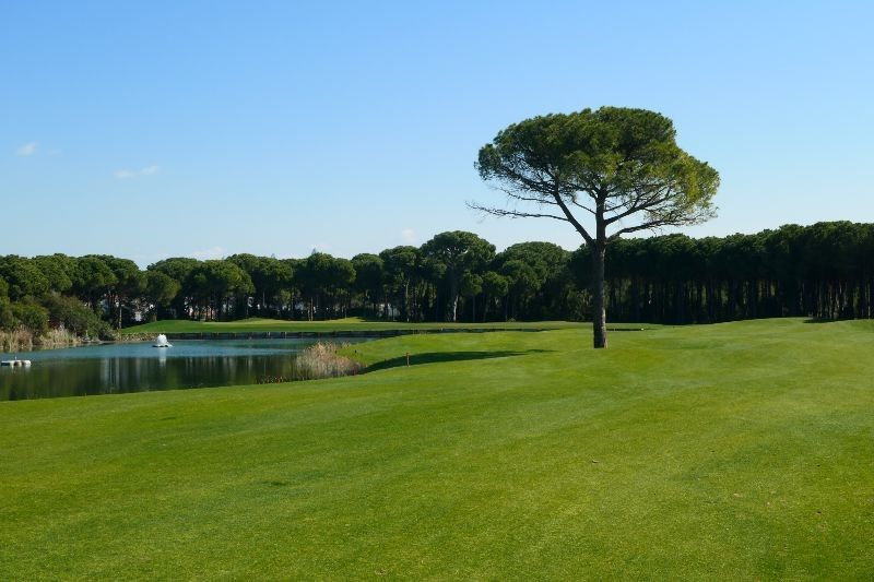 Golfplatz Montgomerie